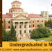Umanitoba PagImg undergraduated new